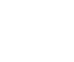 BBLM
