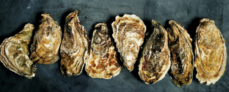 Opération Huîtres – Sam 13 Décembre